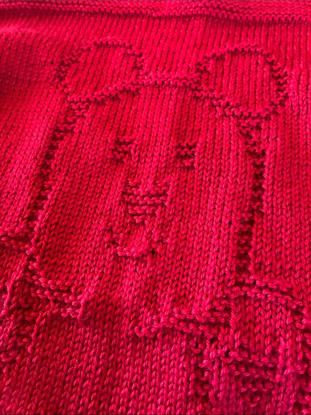 Cozy Red Teddy Knit Baby Blanket